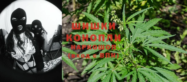 прущие грибы Ладушкин