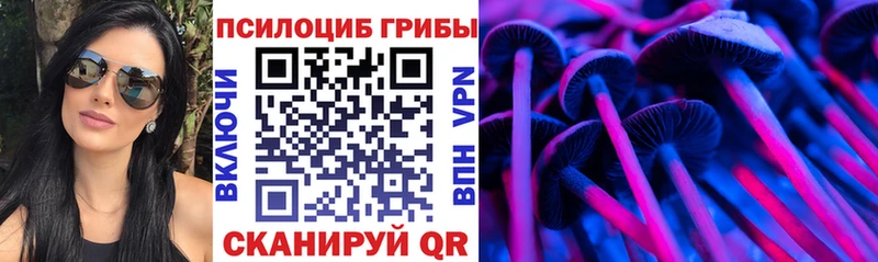 Галлюциногенные грибы Psilocybine cubensis  площадка клад  Лесной 