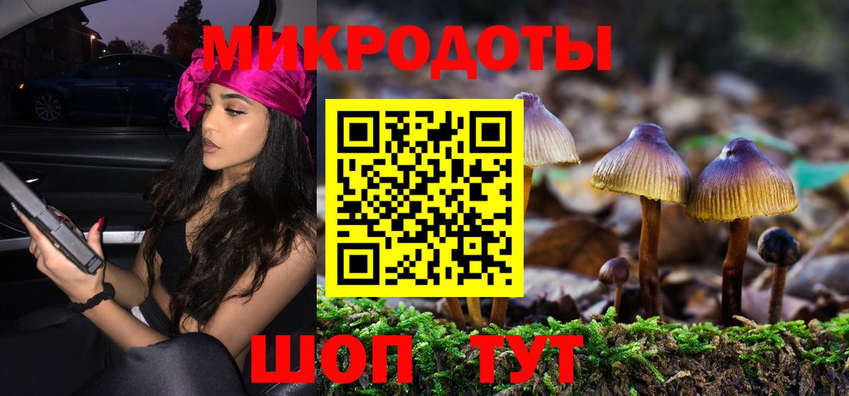 Лесной  Псилоцибиновые грибы прущие грибы  Вход с VPN 