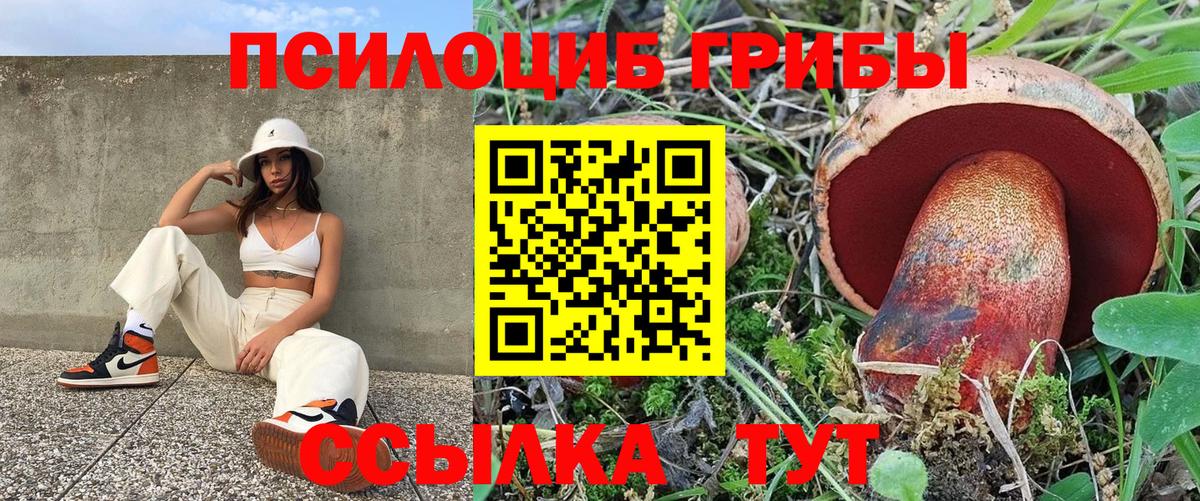 Псилоцибиновые грибы мицелий Лесной